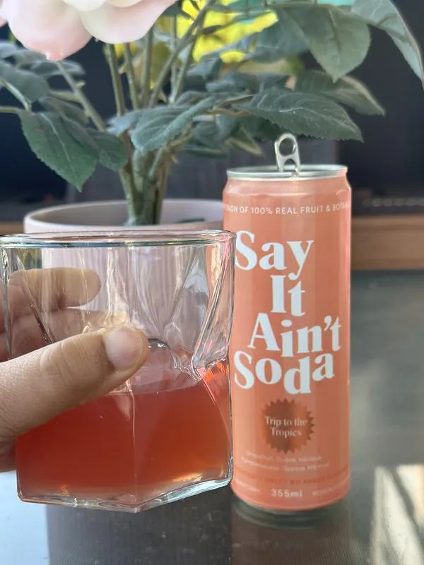 Trip to the Tropics | Say It Ain't Soda