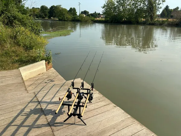 TJR Tackle Set 2 Bobbins Indicatori Di Morso + 2 Rest Per Canne Da Pesca Carpa (Bianco) - 4